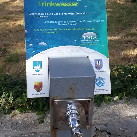 Large Cozy At Apartment